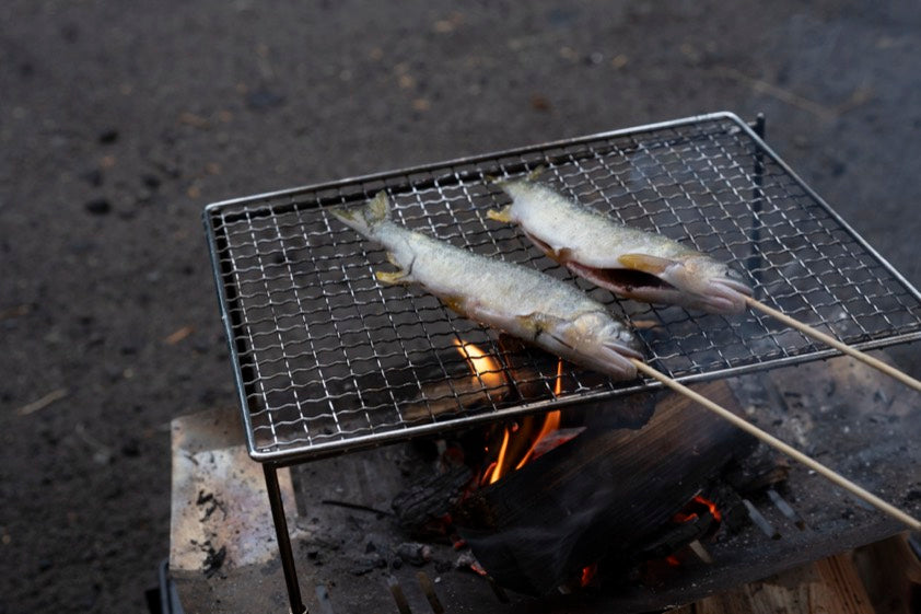 焚き火の網で魚を焼くようす