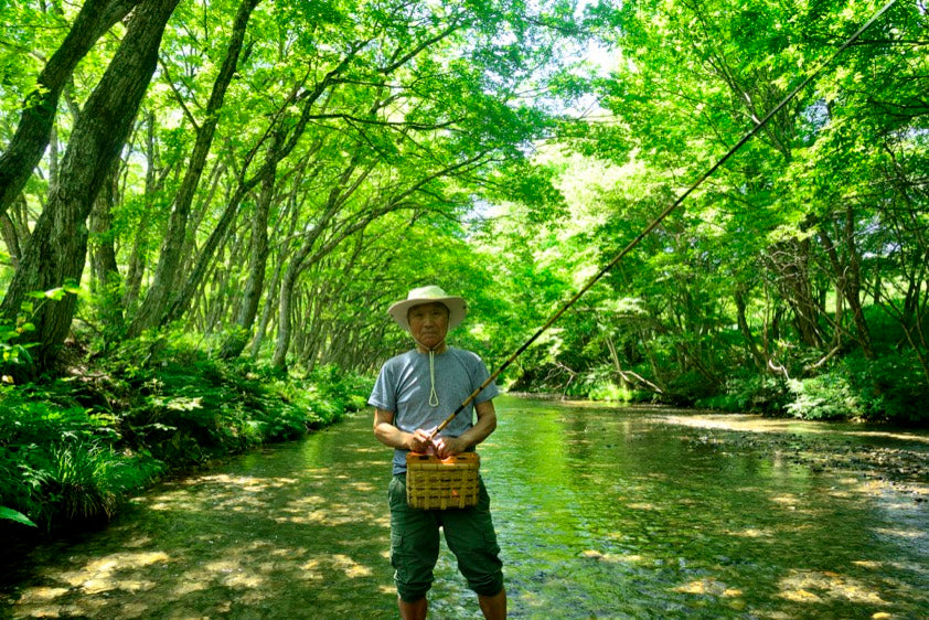 新緑の渓流にひとりで立つ釣り人