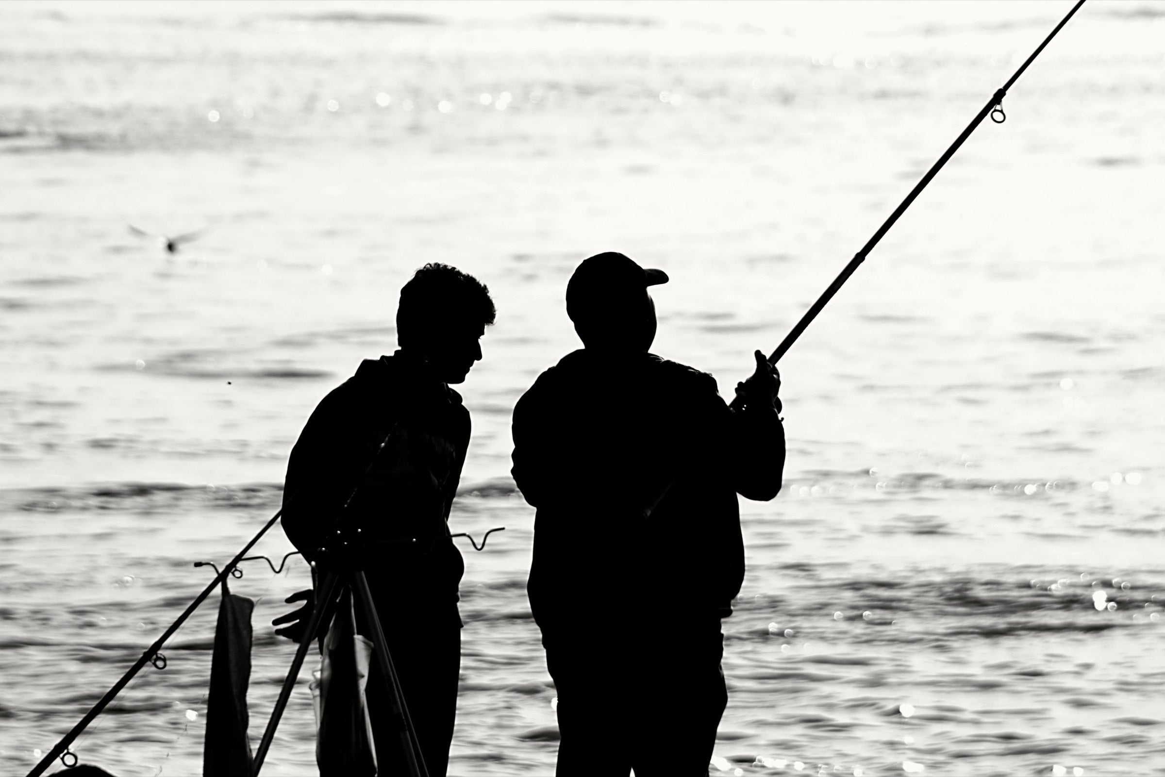 夕暮れの海辺で並んで釣りをする2人